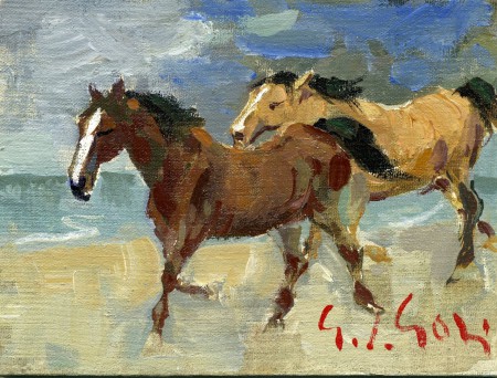 Cavalli sul mare - 1976